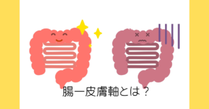 腸—皮膚軸 美肌