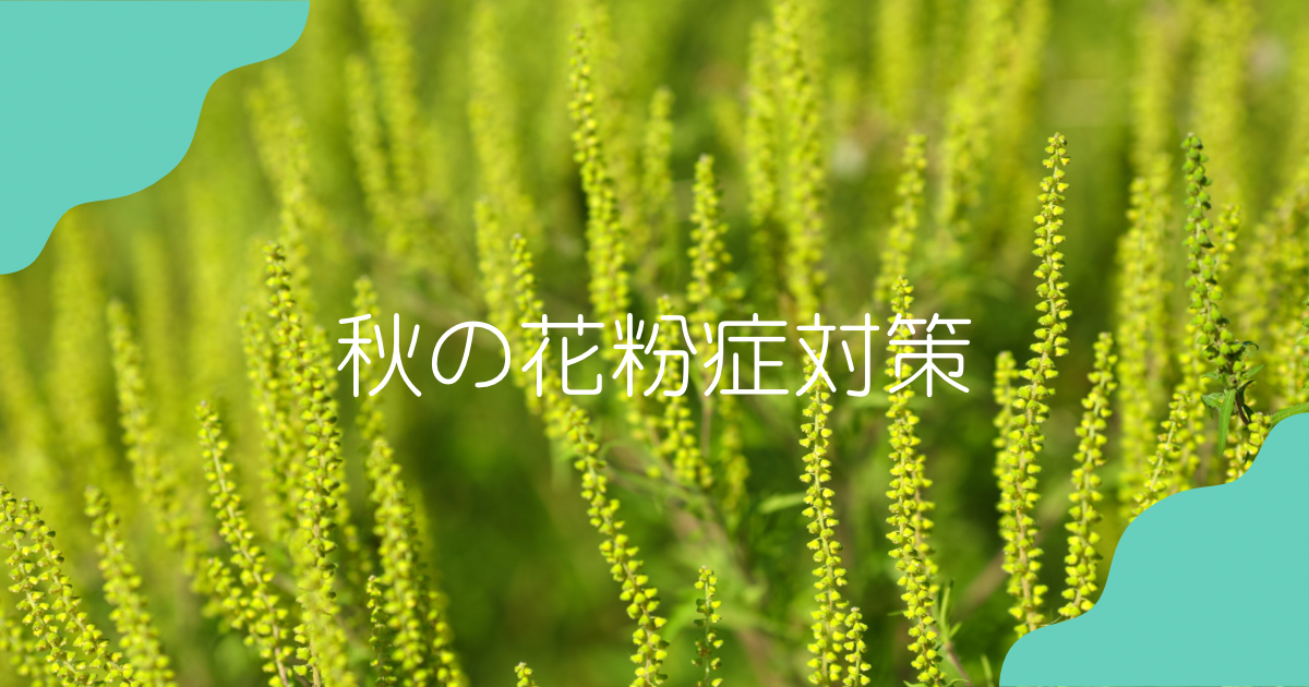 秋の花粉症対策イメージ