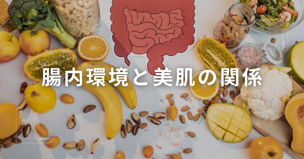 腸内環境と美肌のイメージ